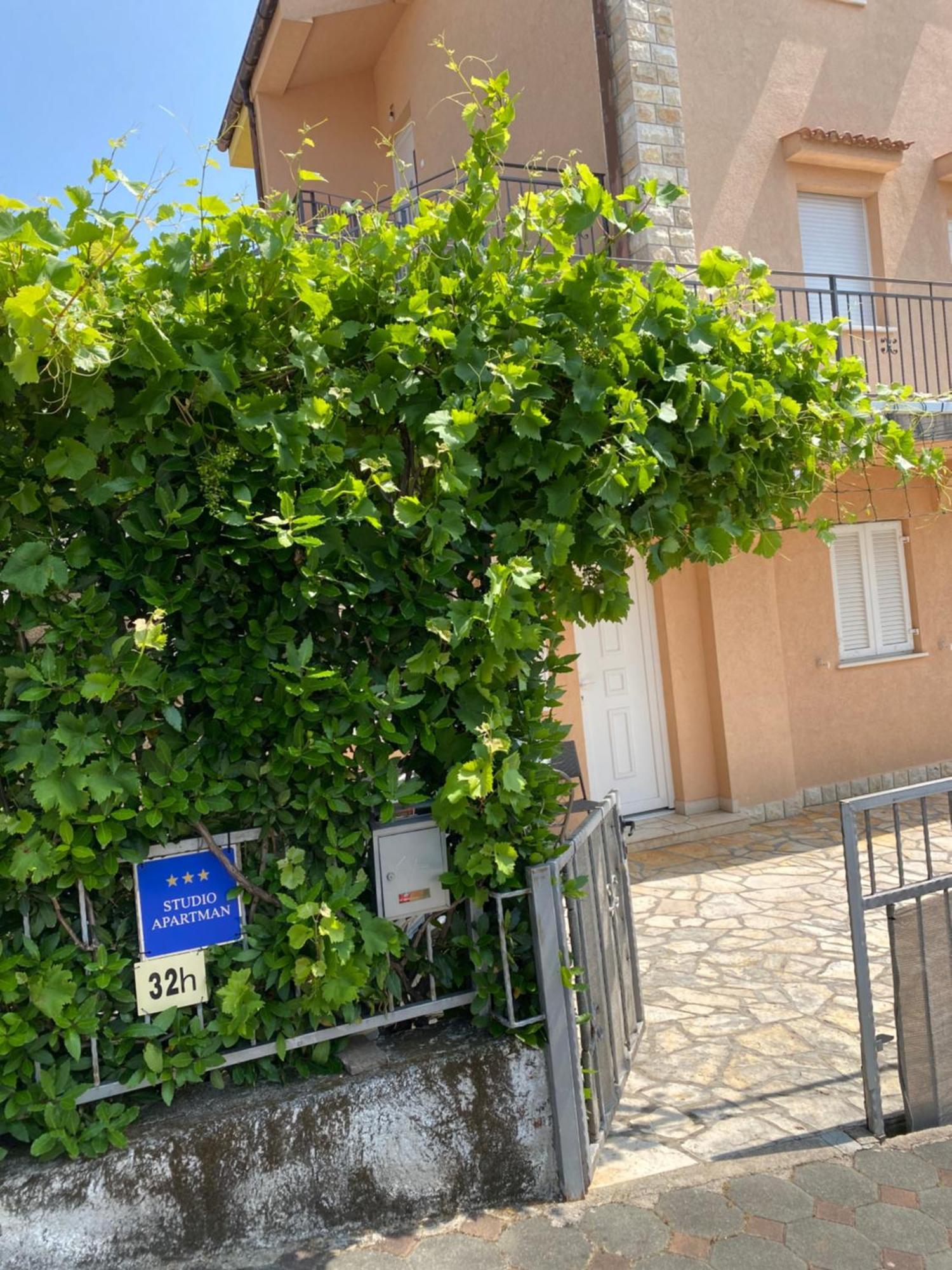 Ally * Crikvenica